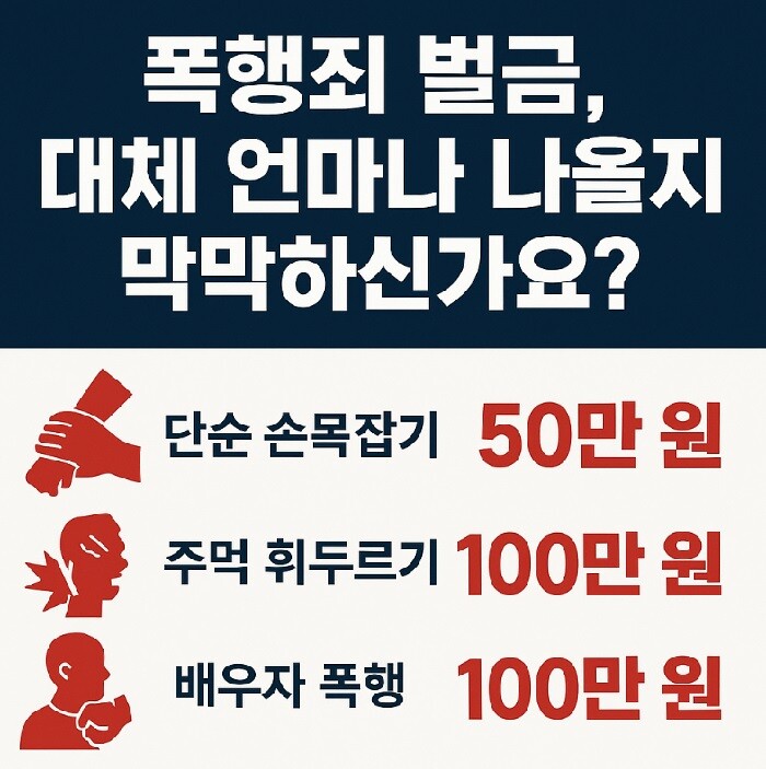 폭행죄 벌금, 30만 원 vs 100만 원? 모르면 손해 보는 처벌 기준 - 법률 놀이터