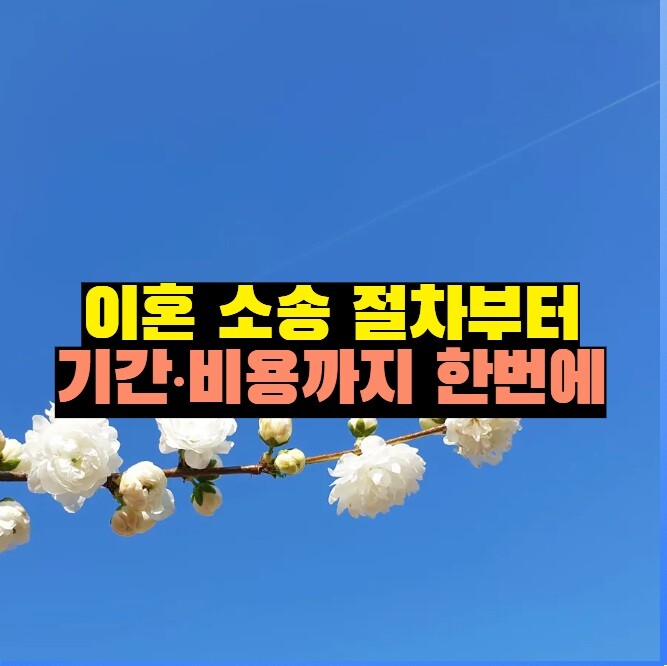 이혼 소송 절차부터 기간·비용까지 한번에