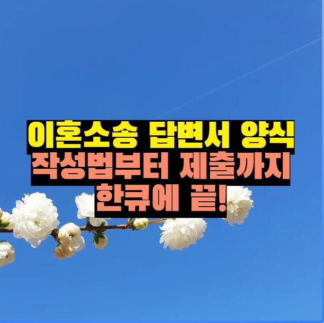 이혼소송 답변서 양식 작성법부터 제출까지 한큐에 끝!