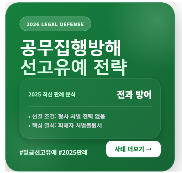 공무집행방해죄 선고유예 벌금형 판례 분석을 통한 초범 전과 기록 방어 가이드