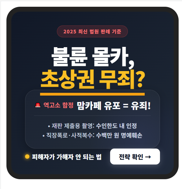 불륜 증거 수집용 촬영 초상권 침해 기준 및 명예훼손 역고소 방어법 안내 인포그래픽 섬네일 이미지