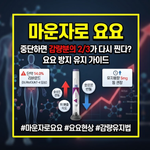 마운자로 요요
