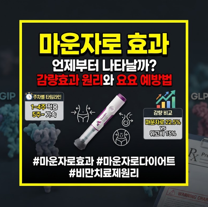 마운자로 효과