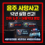 음주 사망사고 12년