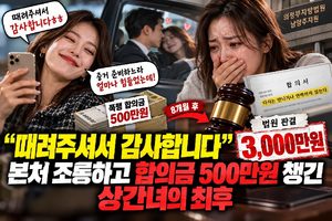 "때려주셔서 감사합니다" 본처 조롱하고 합의금 500만 원 챙긴 상간녀의 최후 (위자료 3,000만 원 판결)